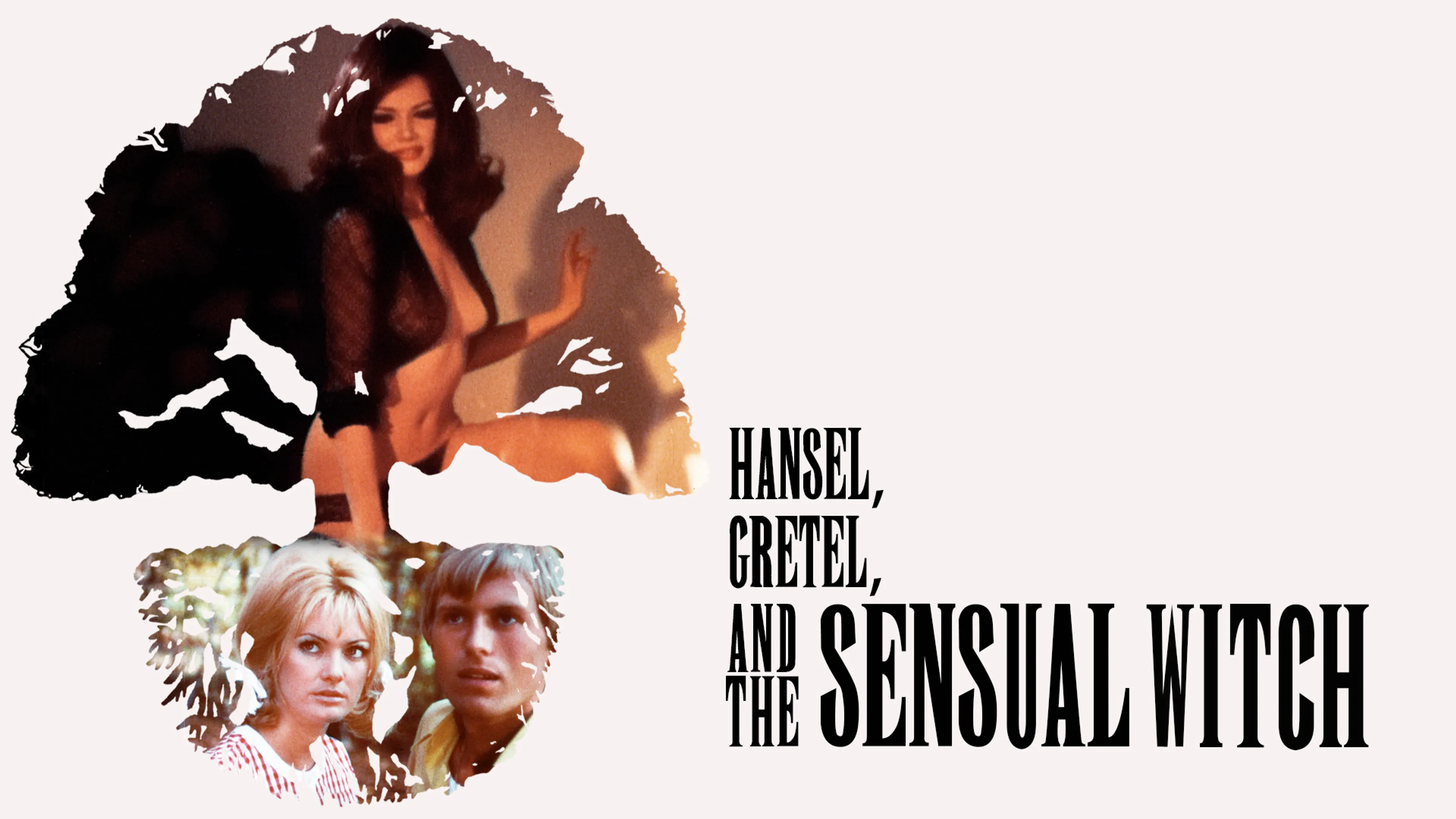 Hansel, Gretel, and the Sensual Witch poster